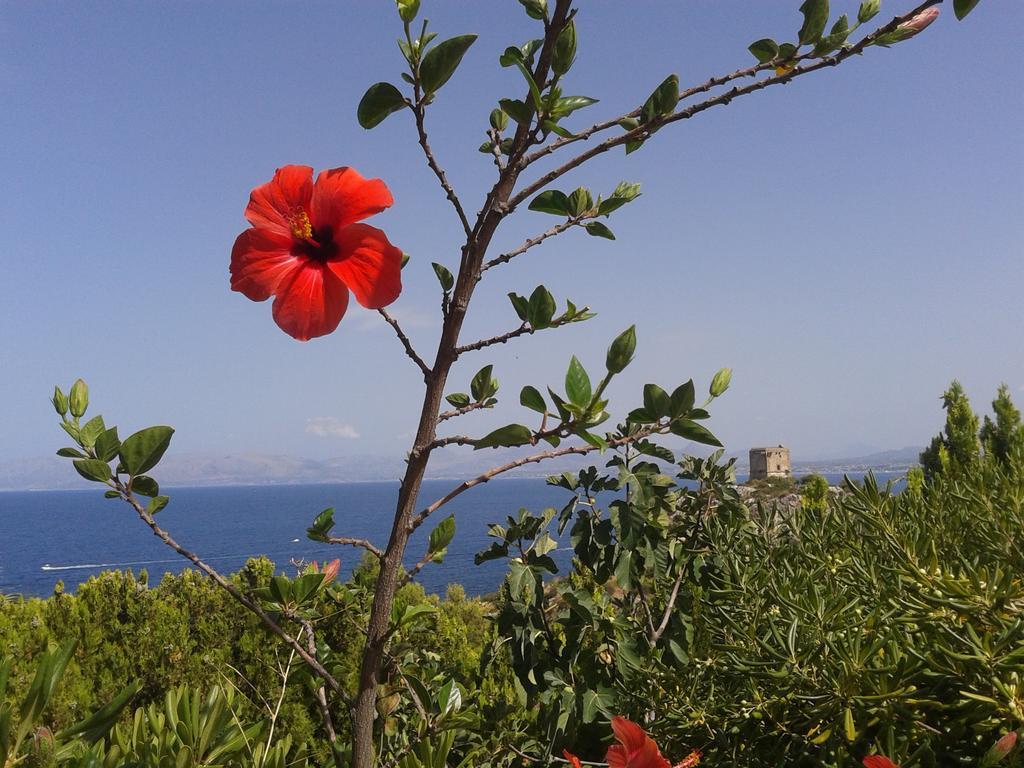 Villa Piccola Baia Scopello  Exterior foto